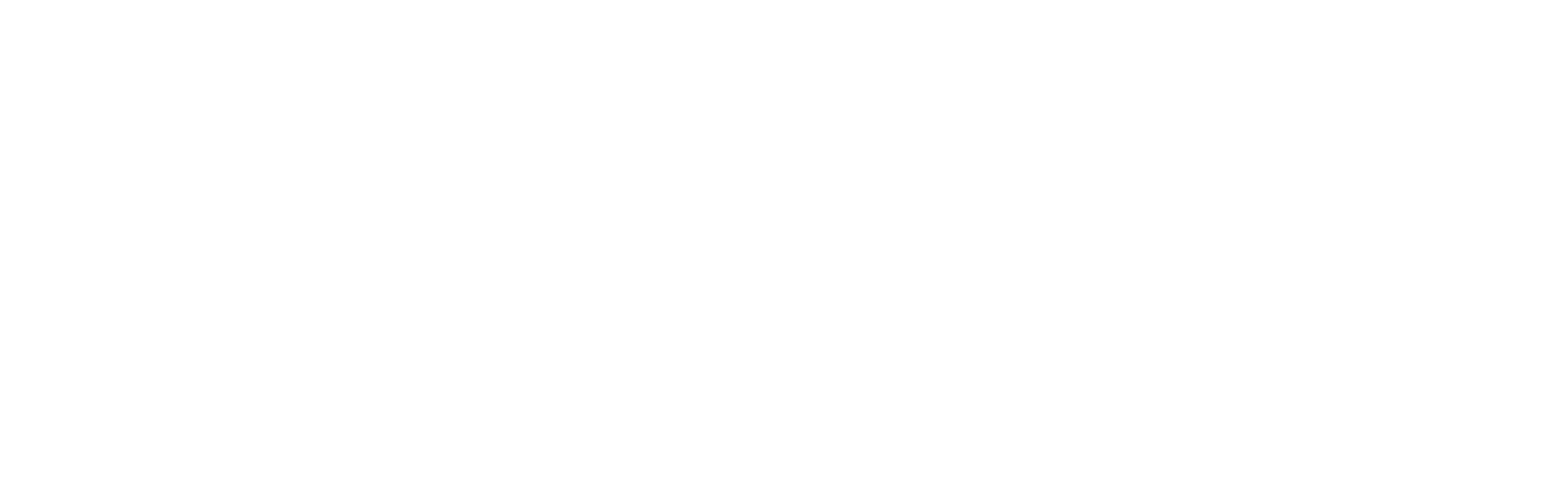 0002_TST_Primary_Logo_White@2x
